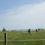 Prázdninový dům Seehund