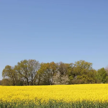 Seehund Haus - Terrasse, Garten, Sauna *