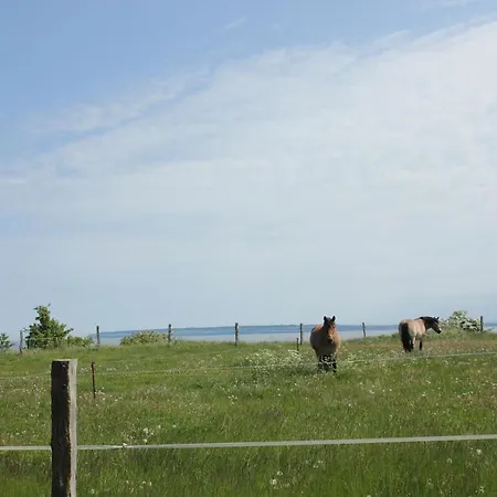 بيت للعطل Seehund Haus - Terrasse, Garten, Sauna