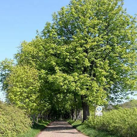Ferienhaus Seehund Haus - Terrasse, Garten, Sauna Klein Gelm