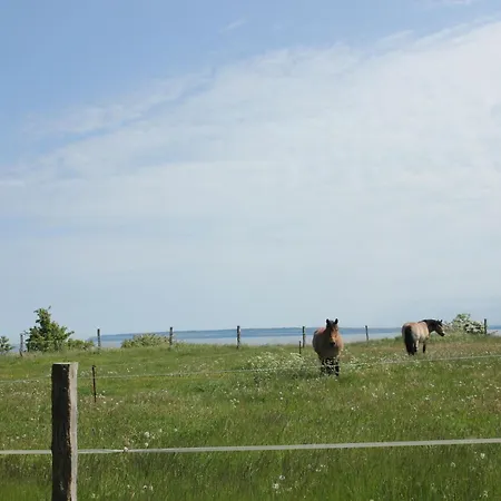 بيت للعطل Seehund Haus - Terrasse, Garten, Sauna