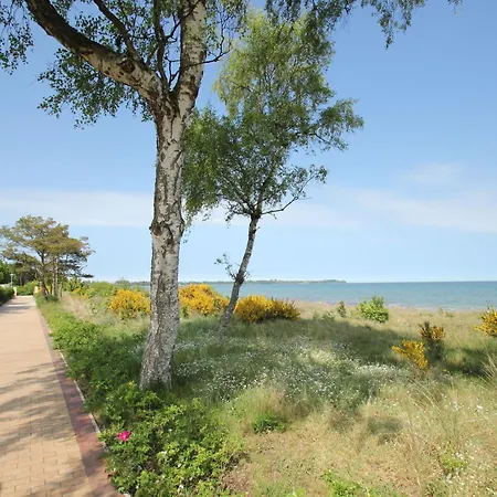 Ferienhaus Seehund Haus - Terrasse, Garten, Sauna